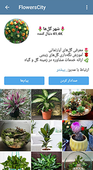 ایتا مسنجر